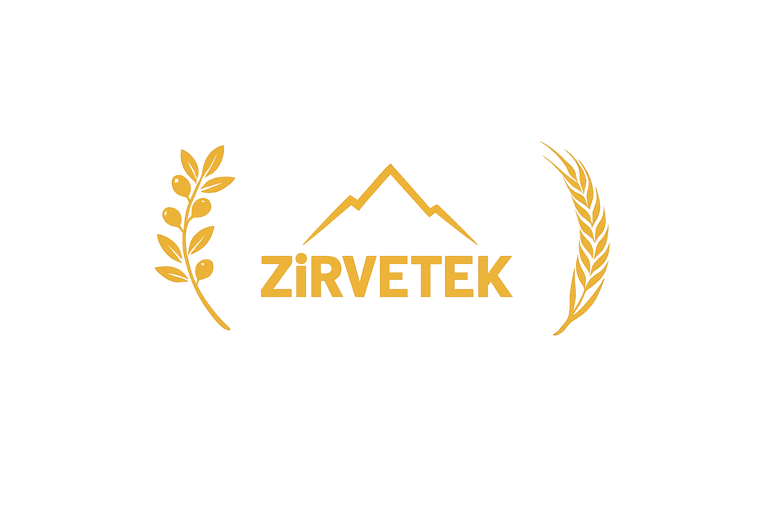 ZİRVETEK Logo - Site ve Apartman Yönetimi